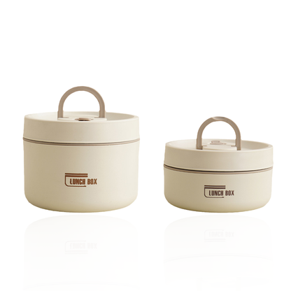 Insulated Stainless Steel Lunch Box with Carry Bag