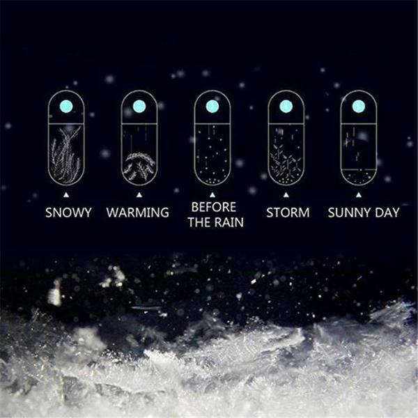 Storm Glass Weather Forecast Crystal Barometer with Wooden Base